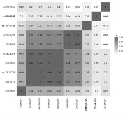 The cis-Regulatory Element of SNCA Intron 4 Modulates Susceptibility to Parkinson’s Disease in Han Chinese